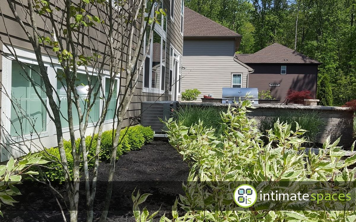 Outdoor Living Spaces : Patio, water feature, grill bar